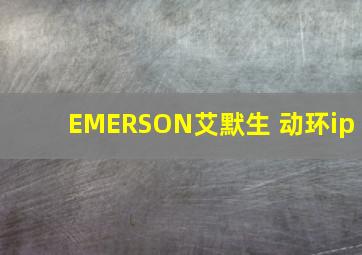 EMERSON艾默生 动环ip